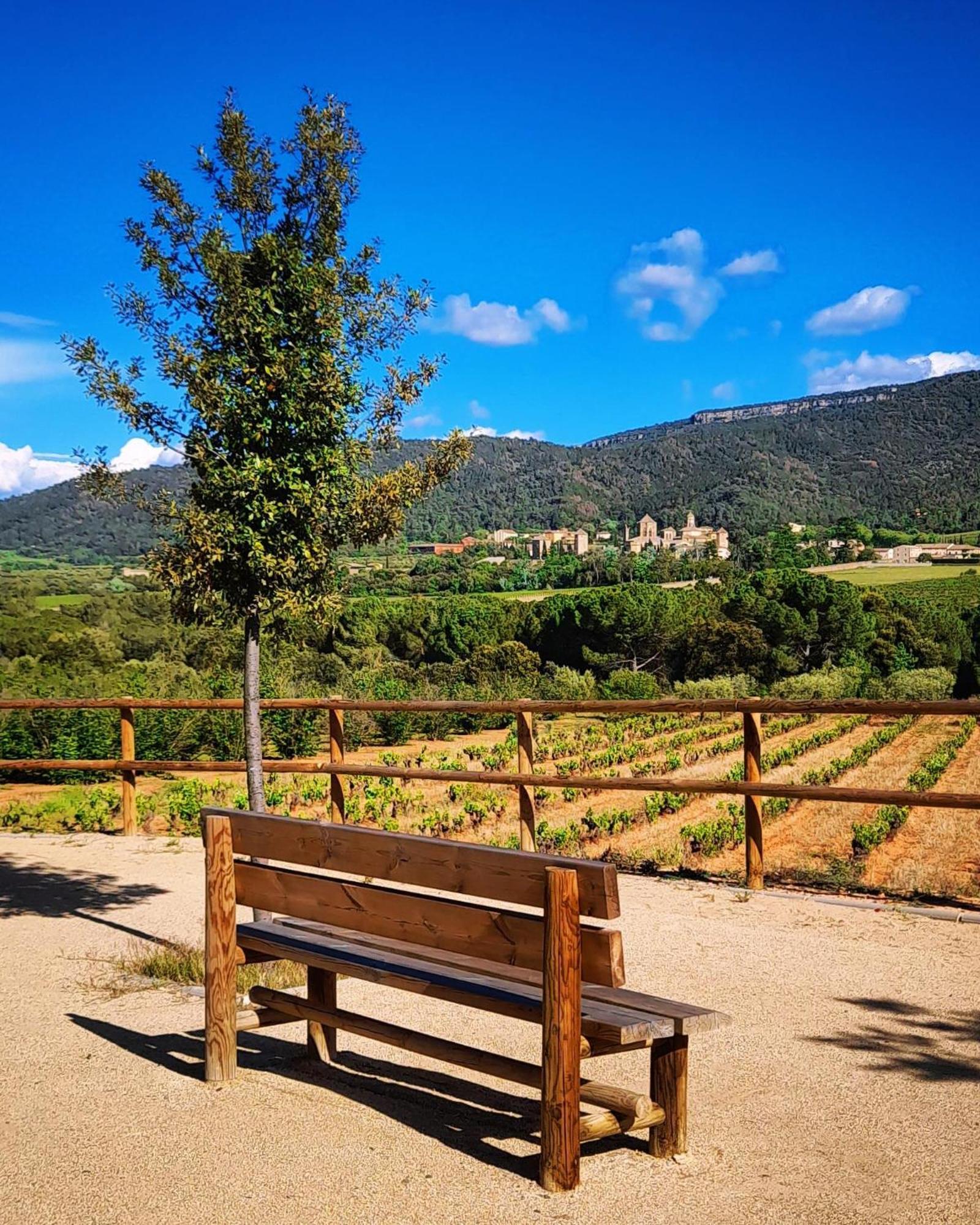 Вилла Cal Passio Vimbodi I Poblet Экстерьер фото